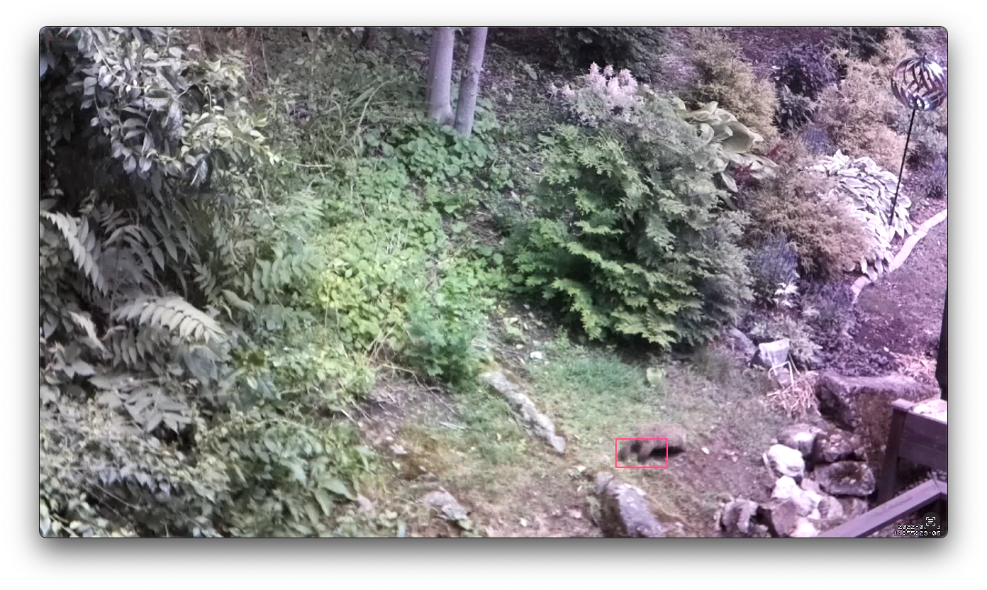 Groundhog Camera visualization